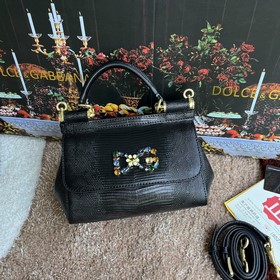 [Dolce & Gabbana 杜嘉班納]款號：4135蜥蜴鑽 原單 完美袋形