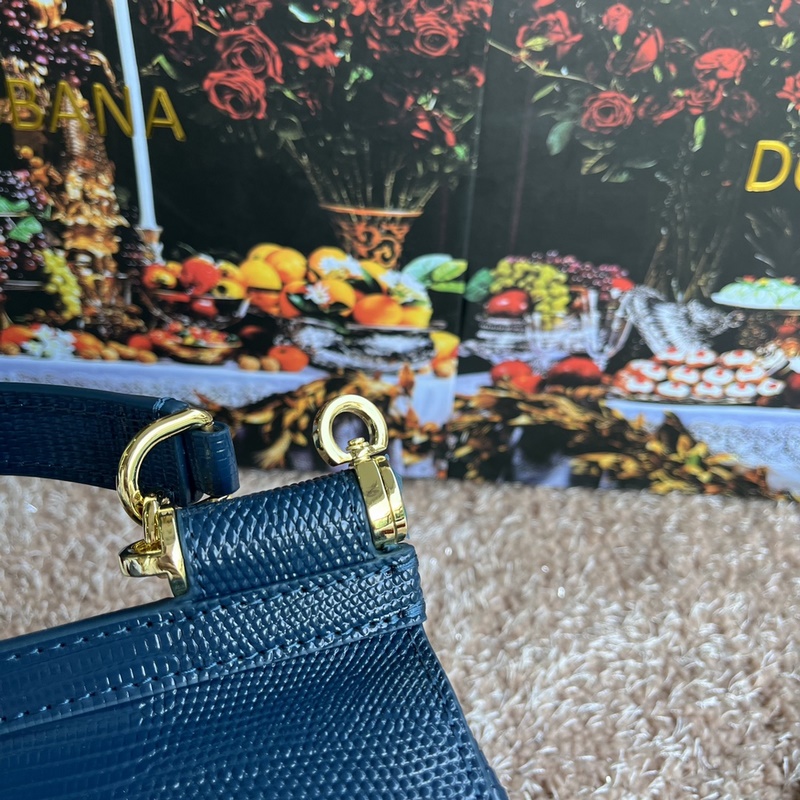 [Dolce & Gabbana 杜嘉班納]款號：4135蜥蜴鑽 原單 完美袋形