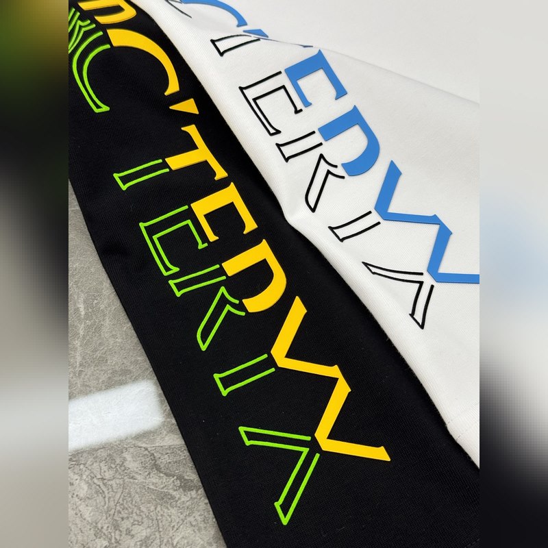 ARCTERY*始祖*鳥25s新品寬松版型T恤.男女同款~小紅書推薦！胸口經典鳥