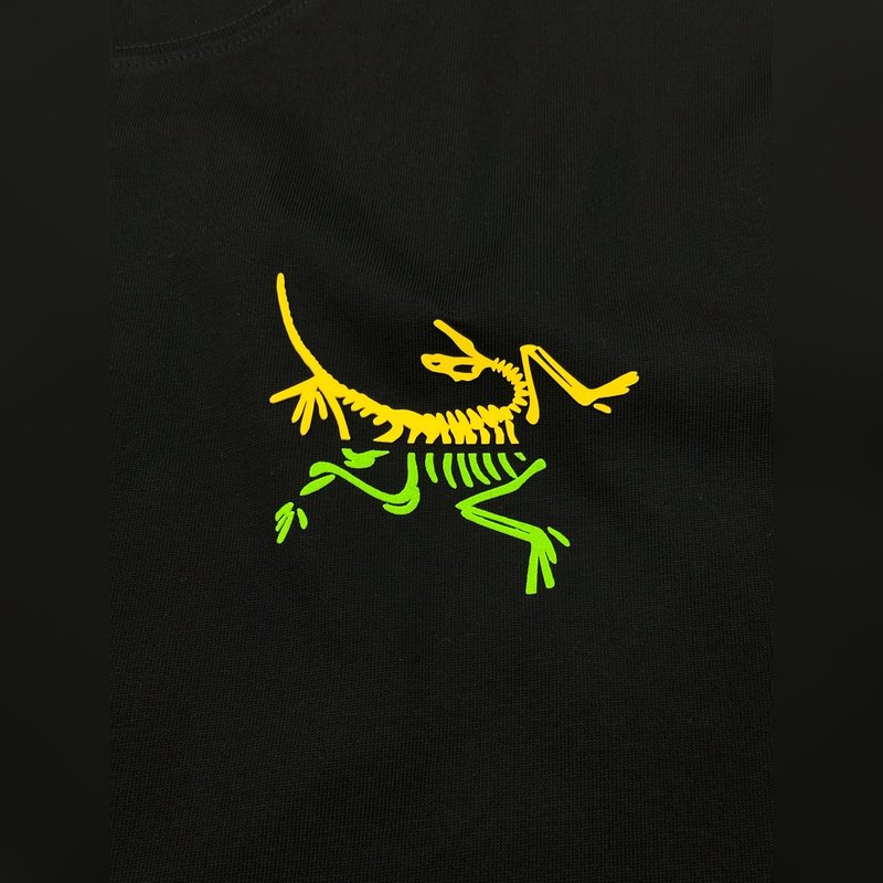 ARCTERY*始祖*鳥25s新品寬松版型T恤.男女同款~小紅書推薦！胸口經典鳥