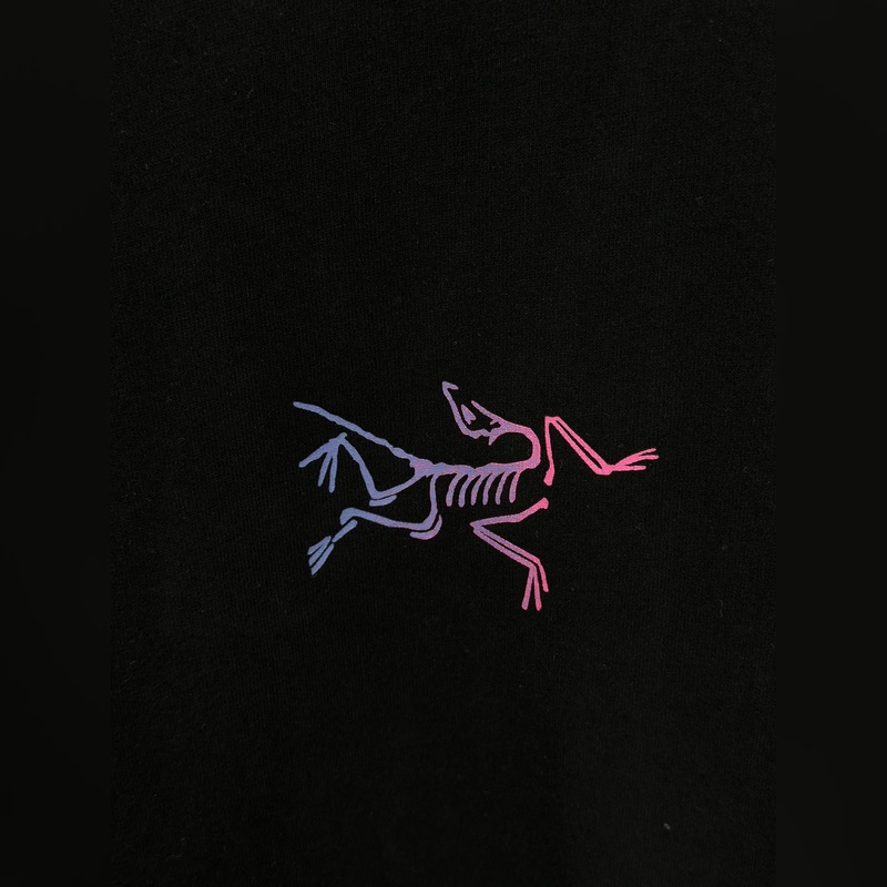 ARCTERYX始祖鳥Kragg系列彩色Logo印花純棉男女長袖T恤打底衫，情侶