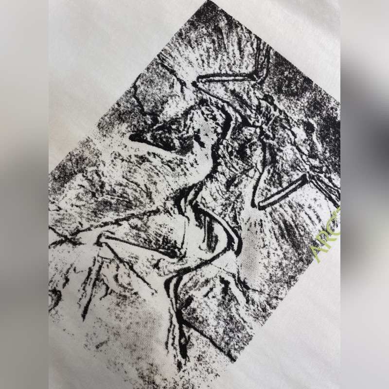 Arctery，2026新款 官網同步 塗鴉直噴，男女同款 短袖t恤 定制120