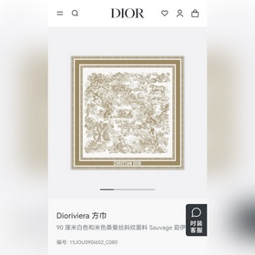 SDO2511 18姆米雙面 90x90cm斜紋真絲 迪奧 Sauvage