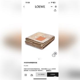 Loewe  毯子 手感很好的羊毛做的 手感柔和 不易起球 原版皮牌 原標 質