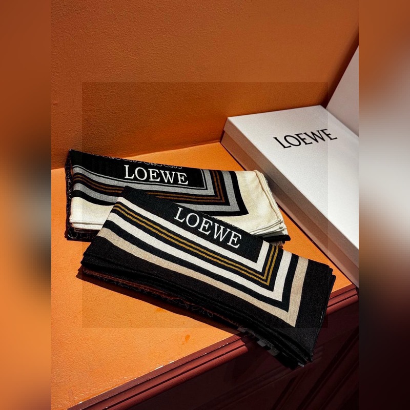 高定版 [上新 Loewe羅意威專櫃新款，高級又不撞款的好東西！??！]能力範圍