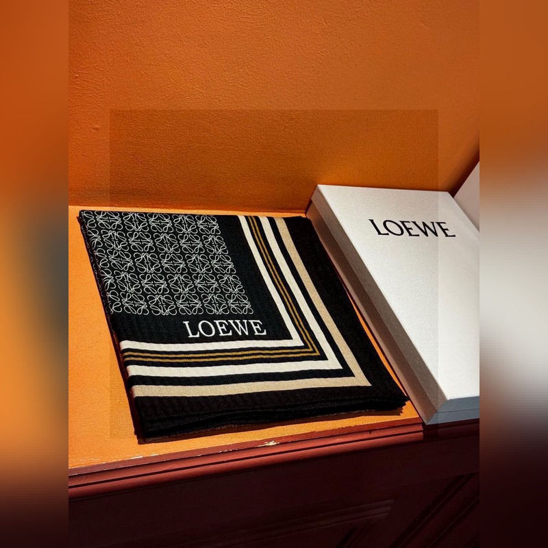 高定版 [上新 Loewe羅意威專櫃新款，高級又不撞款的好東西！??！]能力範圍