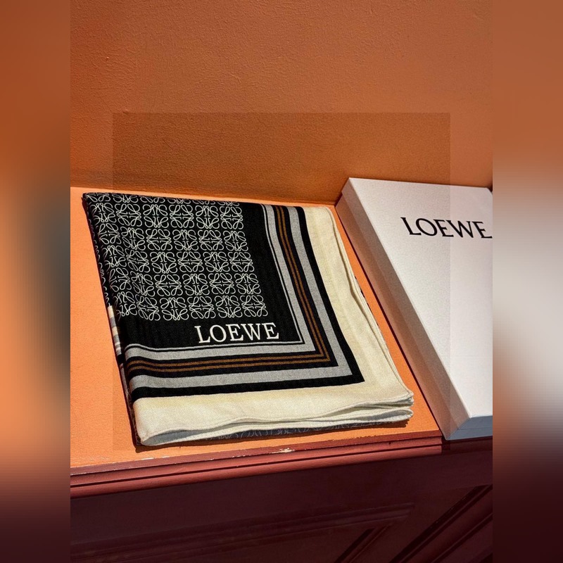 高定版 [上新 Loewe羅意威專櫃新款，高級(jí)又不撞款的好東西！?。能力範(fàn)圍