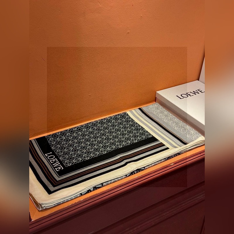 高定版 [上新 Loewe羅意威專櫃新款，高級(jí)又不撞款的好東西！?。能力範(fàn)圍