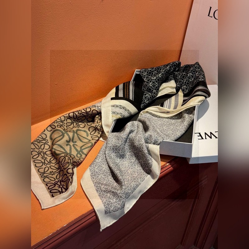 高定版 [上新 Loewe羅意威專櫃新款，高級(jí)又不撞款的好東西?。。能力範(fàn)圍