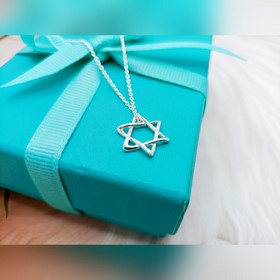 蒂芙尼六角繁星項鍊 材質：s925銀 顔色：白銀 鍊長45CM