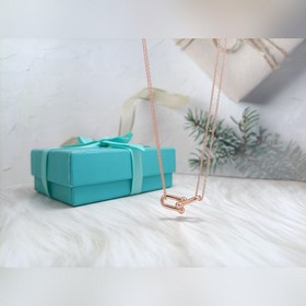 新款蒂芙尼 光面馬蹄項鍊 材質：s925銀 顔色：玫瑰金 ，白金 鍊長45CM