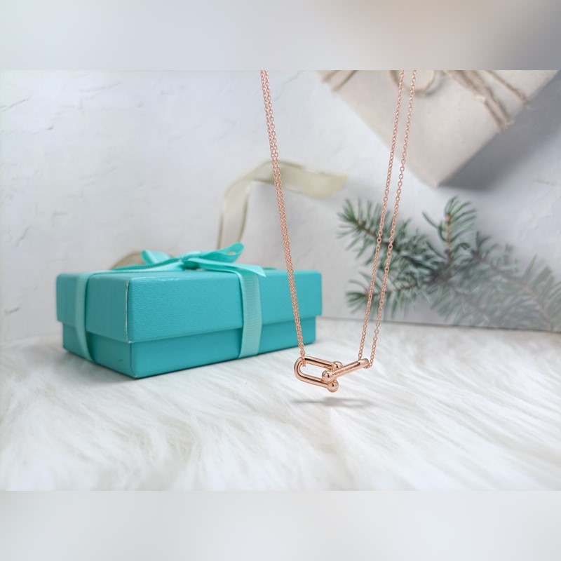 新款蒂芙尼 光面馬蹄項鍊 材質：s925銀 顔色：玫瑰金 ，白金 鍊長45CM