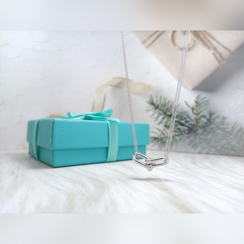 新款蒂芙尼 光面馬蹄項鍊 材質：s925銀 顔色：玫瑰金 ，白金 鍊長45CM