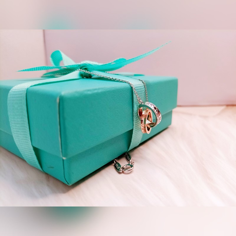 蒂芙尼 1837 扣環圈形項鍊 材質：s925銀 顔色：白金玫瑰分色電，白銀色，