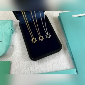 蒂芙尼 Tiffany 六芒星項鍊 黃金色 玫瑰金色 銀色