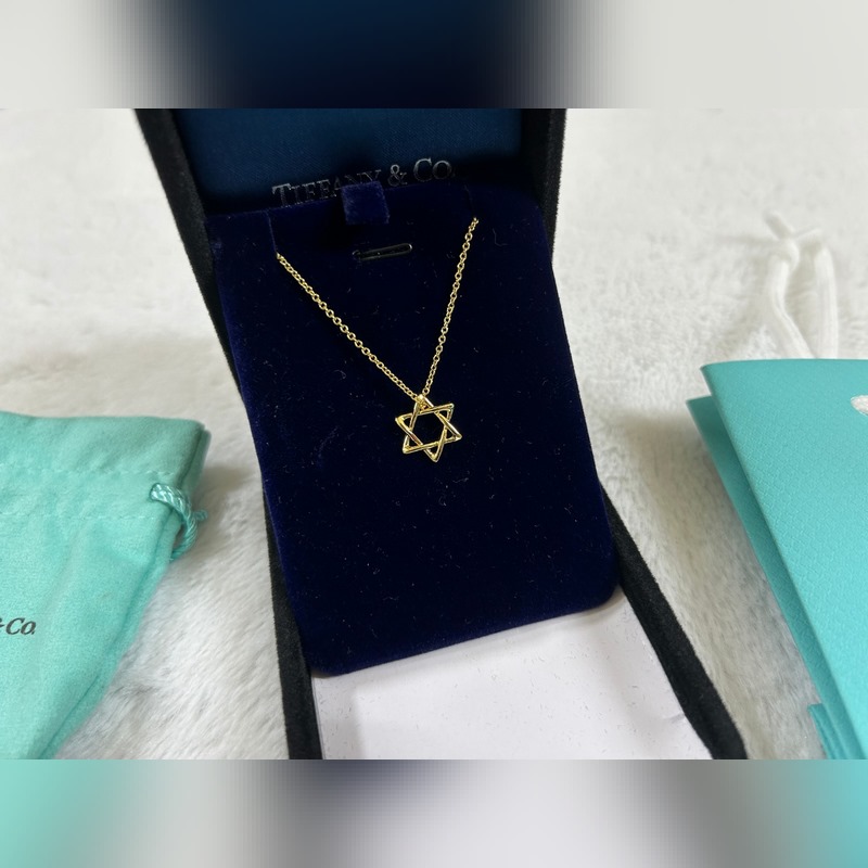 蒂芙尼 Tiffany 六芒星項鍊 黃金色 玫瑰金色 銀色