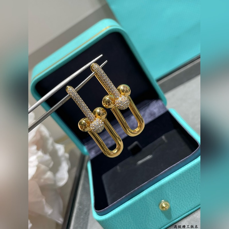 Tiffany 蒂芬妮雙環(huán)帶鑽馬蹄扣耳環(huán)，可鹽可甜。