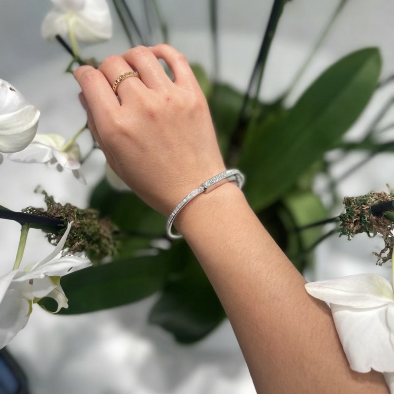 [原單對(duì)版] (配全套包裝) Tiffany 蒂芬妮 新款火爆登場(chǎng) U型鎖 雙