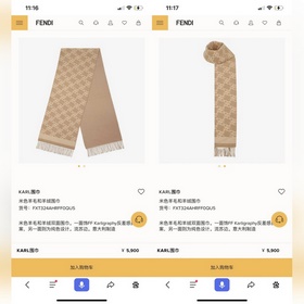 [ FENDI 芬迪最新款圍巾，超溫柔洋氣的雙面設計！！]感覺這個比以往的設計都