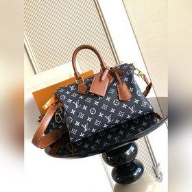 9系列 z 開發 獅子 小馬 鳥 龍蝦 特級 163c01動态芯片 型號： M1