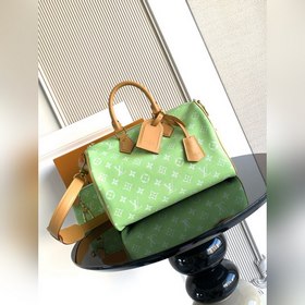 9系列 z 開發 獅子 小馬 鳥 龍蝦 特級 163c01動态芯片 型號： M1