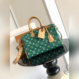 9系列 z 開發 獅子 小馬 鳥 龍蝦 特級 163c01動态芯片 型號： M1