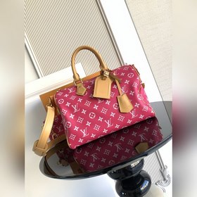 9系列 z 開發 獅子 小馬 鳥 龍蝦 特級 163c01動态芯片 型號： M1