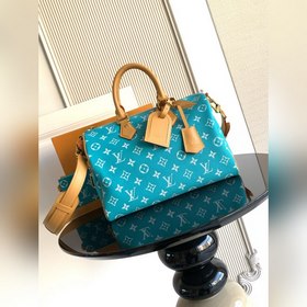 9系列 z 開發 獅子 小馬 鳥 龍蝦 特級 163c01動态芯片 型號： M1