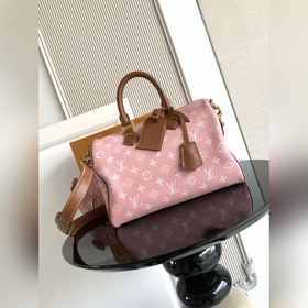 9系列 z 開發 獅子 小馬 鳥 龍蝦 特級 163c01動态芯片 型號： M1