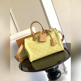 9系列 z 開發 獅子 小馬 鳥 龍蝦 特級 163c01動态芯片 型號： M1