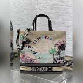 大號 Dior 城市明信片 度假風款手袋 聖特羅佩 限定 這款城市明信片 手袋時