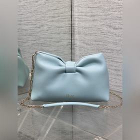 Dior-LAMBSKIN 2026春夏新款LAMBSKIN鍊條包，全新的包形，