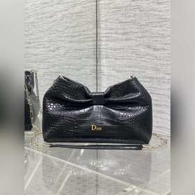 Dior-LAMBSKIN 2026春夏新款LAMBSKIN鍊條包，全新的包形，