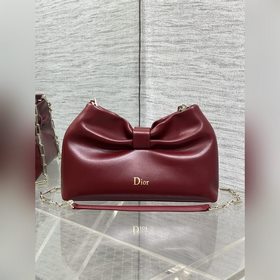 Dior-LAMBSKIN 2026春夏新款LAMBSKIN鍊條包，全新的包形，
