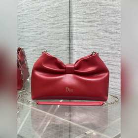 Dior-LAMBSKIN 2026春夏新款LAMBSKIN鍊條包，全新的包形，