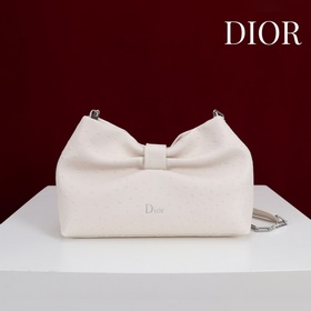 Dior-LAMBSKIN 2026春夏 新款手袋 LAMBSKIN鍊條包，全新