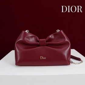 Dior-LAMBSKIN 2026春夏 新款手袋 LAMBSKIN鍊條包，全新