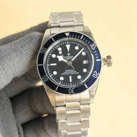 V2升級版帝舵 TUDOR 碧灣系列對于帝舵來說，無疑是一個龐大的産品線，在今
