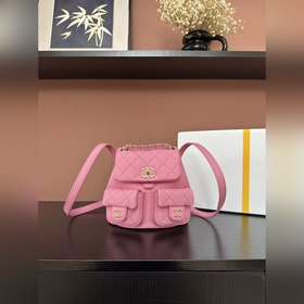 圖片小號 Chanel 23  Duma背包 AS3787#粉色平紋牛皮 獨家