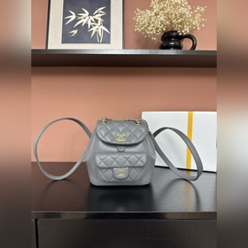 圖片小號 Chanel 22A Duma背包 AS2908#灰色進口小羊皮 獨