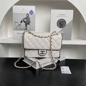 chanel 25 熊貓系列 AS5150 滿眼都是精緻 這一季簡直殺瘋了 小