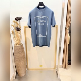 Size：s，m，l，xl 男女同款 DIOR，迪* CD 2026FW 重工全