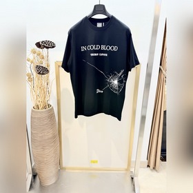 Size：s，m，l，xl 男女同款 DIOR，迪* CD 2026FW 這款T