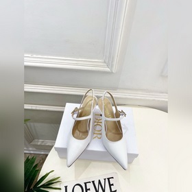 Dior 迪奧 26ss 2026早春新品 頂級版本 專櫃主打新款 CD尖頭金