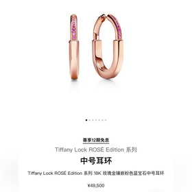 T931 V金材質 Tiffany蒂芙尼any 蒂芙尼lock粉鑽鎖頭耳環 Ti