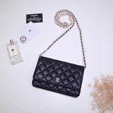 2023chanel 十分精緻！容量方面不用擔心 該裝的都裝得下魚子醬牛皮尺寸1