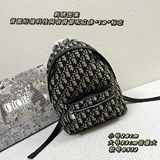 升級版刺繡背包Dior  早春新款Oblique 帆布和黑色粒面觸感小牛