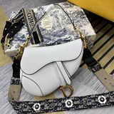 迪奧 Be a classic with classics時尚易逝 兩種
