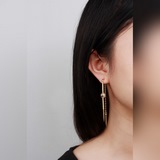 Dior  迪奧耳環