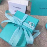 蒂芙尼Tiffany&Co.（1837雙環）項鍊與專櫃同步上新這款典雅迷人的圓形